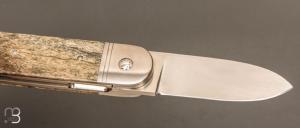  Couteau " Bouledogue " liner-lock de Stéphane Sagric - Os teinté et lame en RWL34