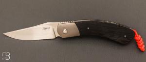  Couteau custom de Stphane Sagric - Micarta et lame en RWL34