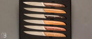 Coffret de 6 couteaux de table par LEPAGE - Bois assortis et 12C27