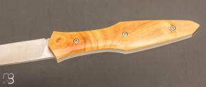    Couteau "Magna Pinna" fait main par Laraud Blade  - Buis et 14C28