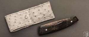   Couteau " Pièce unique " par Alain & Joris Chomilier - Damas carbone de Baker Forge et Corne de Gnou