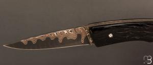   Couteau " Pièce unique " par Alain & Joris Chomilier - Damas carbone de Baker Forge et Corne de Gnou