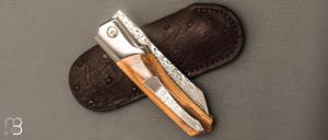   Couteau " Krypto  " de Rémi Lavialle - Lame de Feu - Mammouth et Damasteel