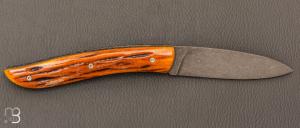   Couteau " le Névé " par Tim Bernard - Os Cerfé et lame 14C28