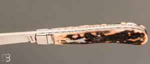   Couteau " Slimline Trapper " Stag de Craig Brewer