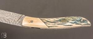  Couteau " le Névé " par Tim Bernard - Ivoire de mammouth et lame damas plume