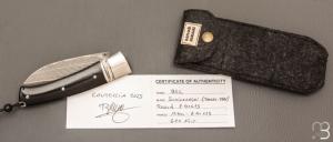   Couteau " Bec "  custom par Raphaël Durand - Suminagashi SGPS et G10