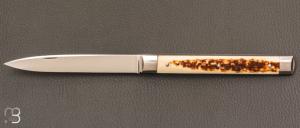    Couteau  " Doctor's knife" custom de Jean Baptiste Leveque